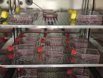 Coca-Cola HBC Hrvatska donacijom podržala znanstvenu izvrsnost Banke tkiva i stanica KBC-a Sestre milosrdnice
