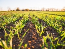 Agrivi: „Digitalizacijom do konkurentnosti i održivosti”