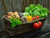 Zbog koronavirusa otkazan berlinski Međunarodni zeleni tjedan