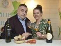 Vinski razgovori & Cheers with you - potencijali Malvazije