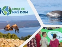 P&G predstavio inicijativu ČUVAJMO NAŠ DOM