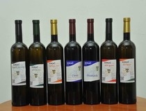 Predstavljena vina Sokač