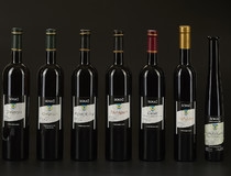 Predstavljena vina Sokač
