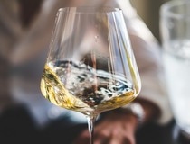 Sve je spremno za ovogodišnju Vinistru