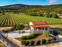 Svi putevi vode u Drniš - na Festival drniškog merlota