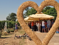 Graševina a Cappella u Slavonskom Brodu i Pjenušavi erdutski doručak u vinogradu (8.-10.9.2022.)