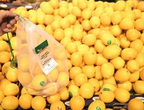 SPAR Hrvatska prodao više od milijun biorazgradivih vrećica