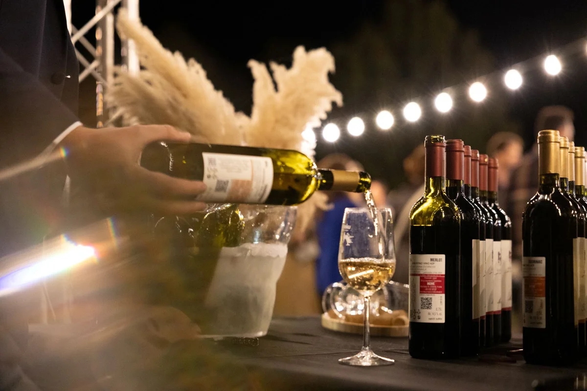 Dunav Wine Festival pomaknuo granice vinskih događanja