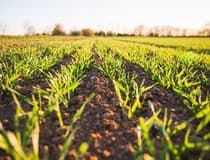 Agrivi: „Digitalizacijom do konkurentnosti i održivosti”