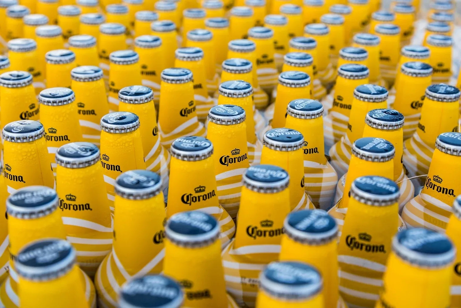 Constellation Brands imenovao novog direktora lanca opskrbe za pivo