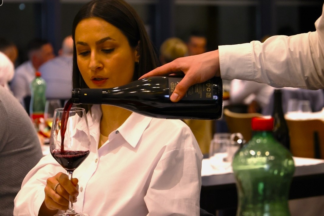 Dalmatinska turneja Wine VIP Eventa
