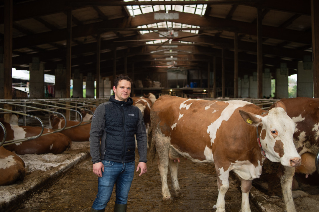 slovenija 10.10.2024, Kmetija Mulej, kandidati za Naj hlev 2024 foto: Anže Petkovšek