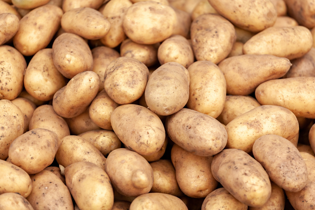 Potatoes on sale at a farmers market stall, vagetable